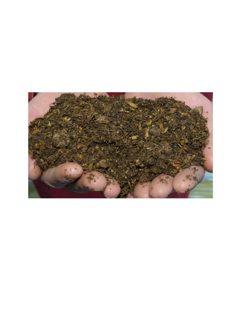 KNP Chicken Manure Organic Fertilizer - Image 1