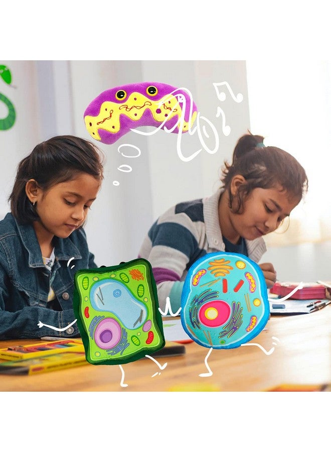 Giant Microbes GIANTmicrobes Animal Cell Plush, Animal Cell Model, Biology Model, Biology Gifts, Science Classroom Decor, Science Teacher Gifts, Cell Biology, Biology Stuffed Animals - Image 5