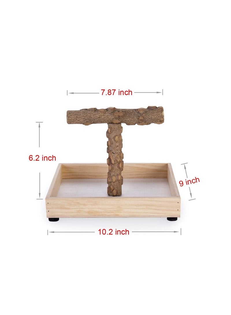 اكسيسن حامل الطيور على الطاولة، حامل محمول على شكل حرف T، حامل ببغاء للعب الببغاء الصغير المتوسط. - Image 2