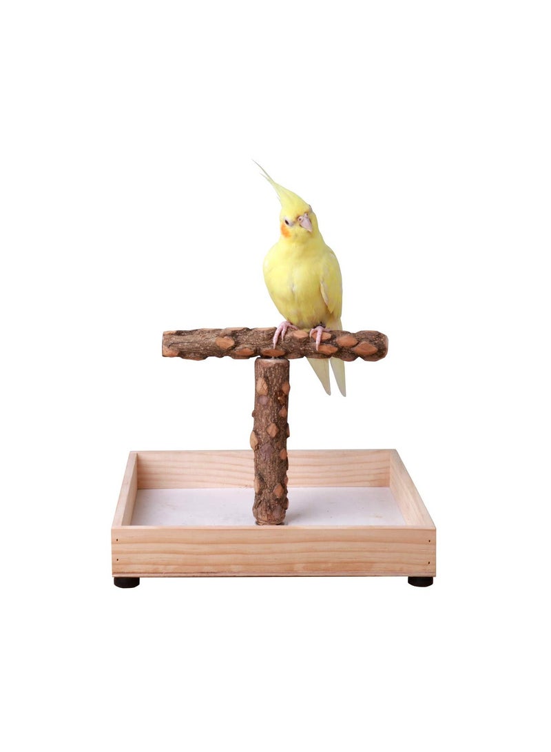 اكسيسن حامل الطيور على الطاولة، حامل محمول على شكل حرف T، حامل ببغاء للعب الببغاء الصغير المتوسط. - Image 1