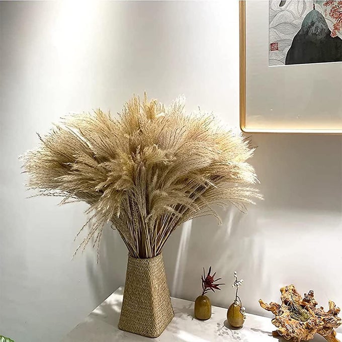 NATURAL DRIED PAMPAS GRASS FOR BOHO HOME DECORATION 50PCS REED GRASS PLUME NATURAL BOBO PAMPAS GRASS STEMS SMALL DRY PAMPAS GRASS PLANTS FOR WEDDING ARRANGEMENTS VASE DOOR WREATH DECOR
