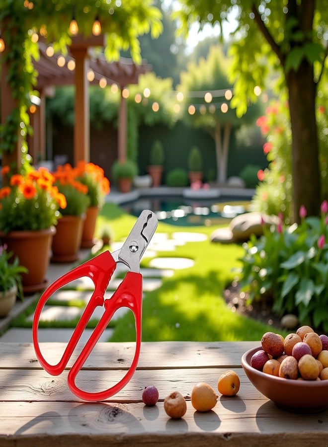 Junfamilee أداة تقشير المكسرات الحمراء، قطعة واحدة، لكسر قشور المكسرات، أداة لتقشير بذور الفستق، كماشة تقشير، أداة لكسر المكسرات، مصنوعة من الفولاذ المقاوم للصدأ، سهلة الاستخدام، علبة صلبة، أدوات وأجهزة المطبخ - Image 3