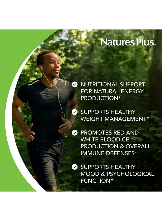 NaturesPlus فيتامين ب12 من ناتشرز بلس (ميثيلكوبالامين) - 500 ميكروغرام، 90 قرص نباتي - دعم قوي لخلايا الدم الحمراء - معزز طبيعي للطاقة، يعزز الصحة العامة - خالي من الغلوتين - 90 حصة - Image 4