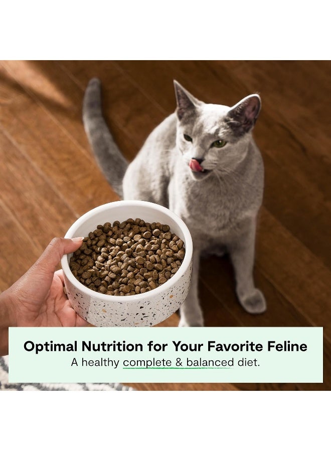 Open Farm Grain Free Catch of the Season Whitefish Dry Cat Food - 4 LB/1.81Kg - Image 2