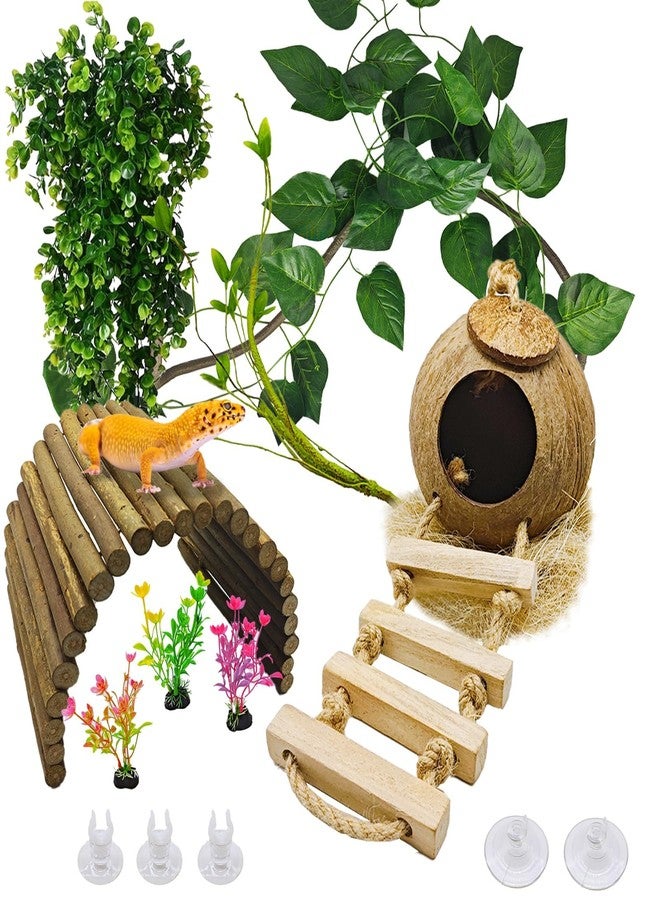 kathson 9PCS Leopard Gecko Tank Accessories,Reptile Hanging Plants and Vines Coconut Shell Hut with Ladder Habitat Decor for Climbing Bearded Dragon Lizard Snake Hermit Crab Chameleon - Image 1