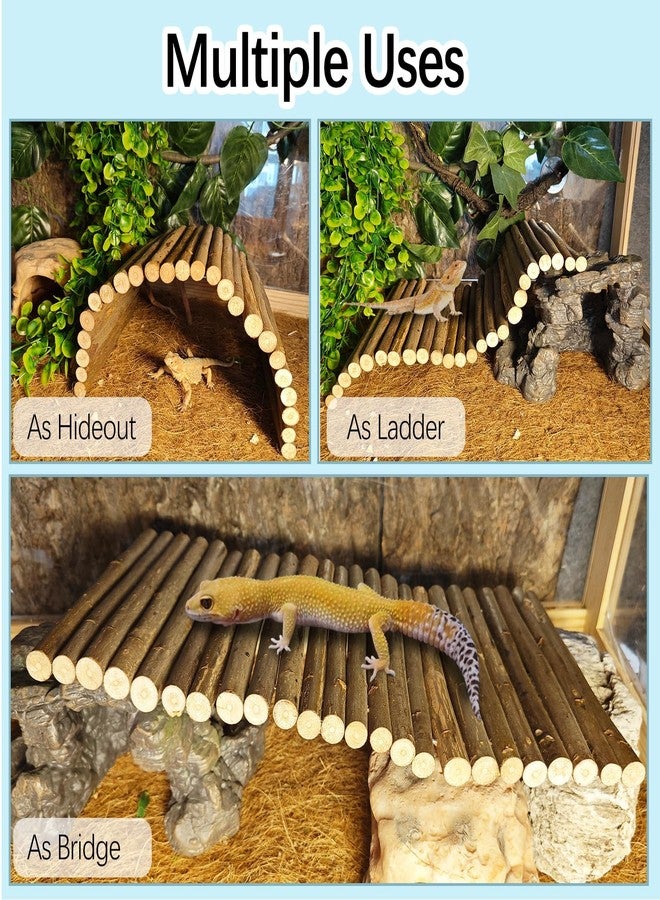 kathson 9PCS Leopard Gecko Tank Accessories,Reptile Hanging Plants and Vines Coconut Shell Hut with Ladder Habitat Decor for Climbing Bearded Dragon Lizard Snake Hermit Crab Chameleon - Image 3