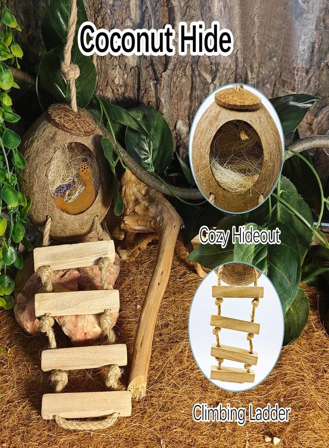 kathson 9PCS Leopard Gecko Tank Accessories,Reptile Hanging Plants and Vines Coconut Shell Hut with Ladder Habitat Decor for Climbing Bearded Dragon Lizard Snake Hermit Crab Chameleon - Image 2