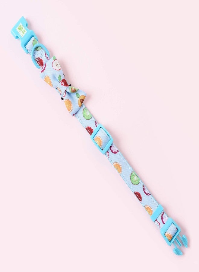 مايل هاي لايف | أطواق للكلاب الإناث | طوق كلب لطيف بربطة عنق | أطواق من قماش البوليستر والقطن الناعم للكلاب الصغيرة | بنقشة زهور وفواكه (حمضيات، طوق وربطة عنق - مقاس XS) - Image 2