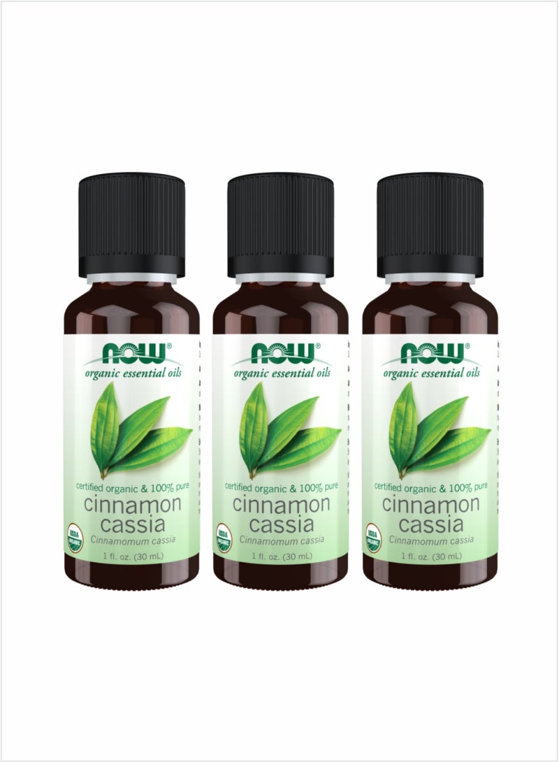 NOW Cinnamon Cassia Essential Oil - Cozy & Organic Blend, 30ml (Pack of 3)