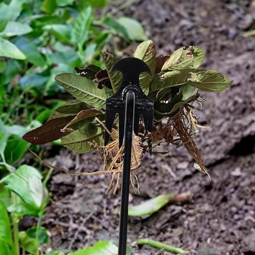 REDBUILD® Garden Weeding Tool with Wooden Handle || Weeder Hand Tool 4 Claws || High Carbon Steel || Manual Weed Puller for Lawn and Garden || Gardening Tools || Weed Removal Tool (Carbon Steel) - Image 5