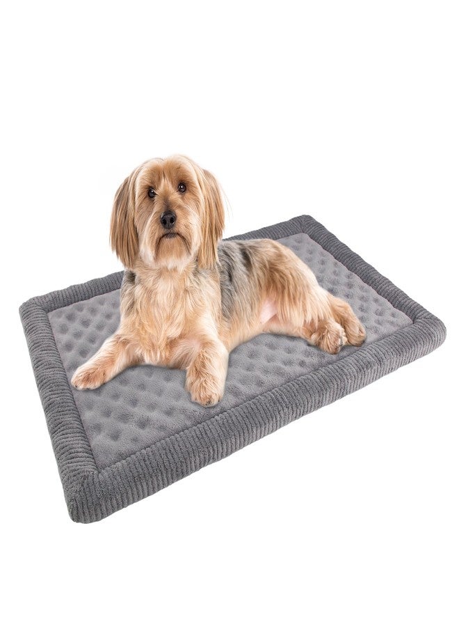 PAGGED Dog Crate Pad 24x17 inch Gray Memory Foam Dog Bed Mat for Small Dog Cat Grey Washable Puppy Sleeping Bed Anti Slip - Image 1