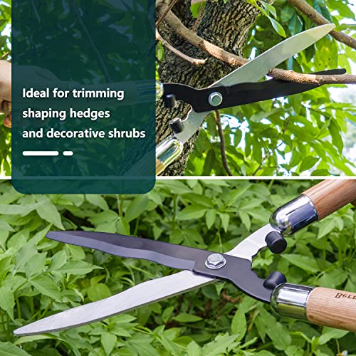 Berry&Bird Garden Hedge Shears,19.88''Heavy Duty Pruning Shear for Trimming Borders and Bushes, Manual Hedge Clippers with Wooden Handles & Carbon Steel Sharp Blades Gardening Scissors - Image 5