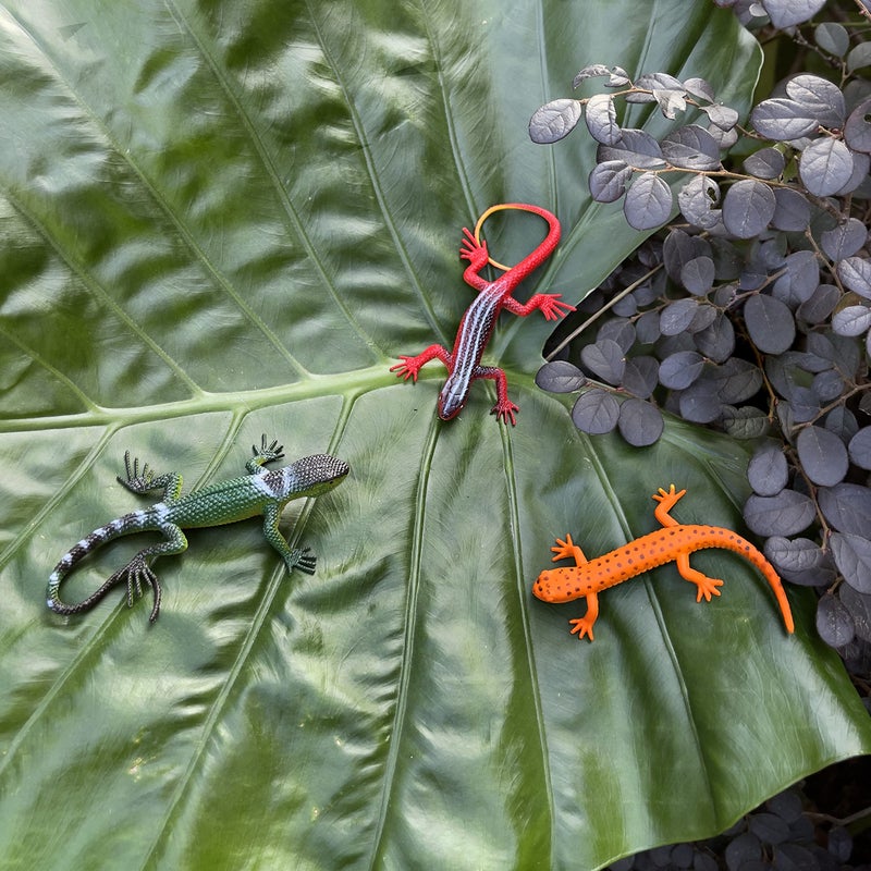 NAKIMO Plastic Lizard Toys Artificial Model Reptile Realistic Rubber Lizard Animal Figures for Halloween Party Decoration, Practical Joke and Educational Toys, 12Pcs - Image 5