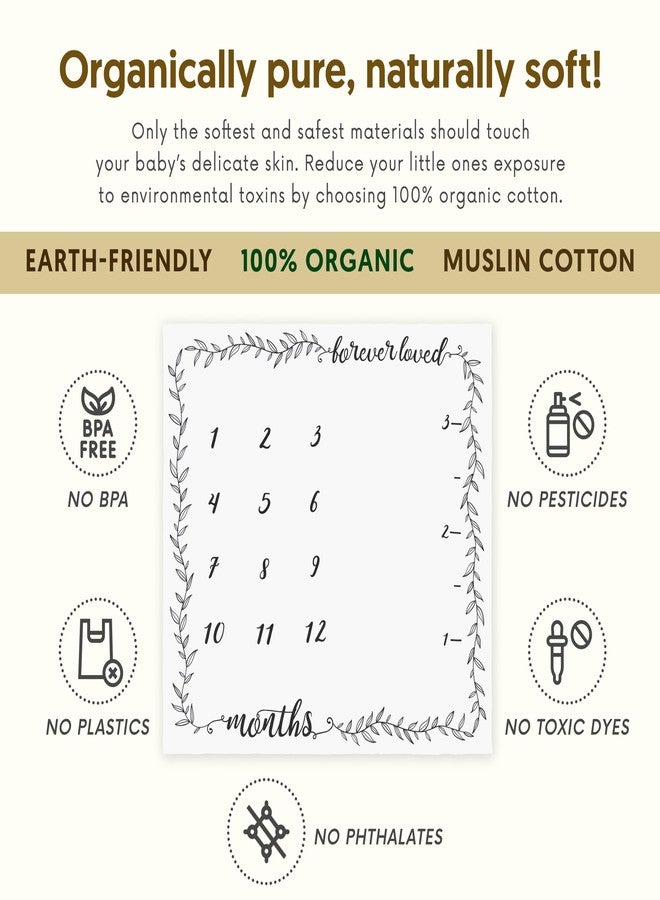 Pondering Pine Organic Baby Milestone Blanket - Boy or Girl, 1-12 Months, Neutral, 47'x47' with Wood Frame and Newborn Announcement Disc - Image 3