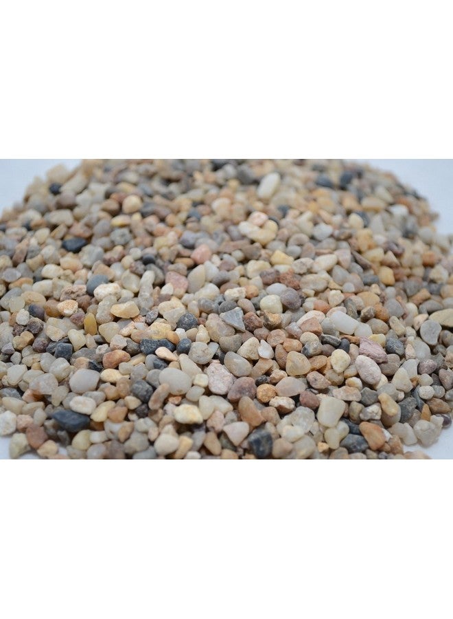CNZ Aquarium Natural River Gravel (10-Pound) - Image 2