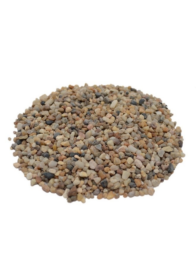 CNZ Aquarium Natural River Gravel (10-Pound) - Image 1