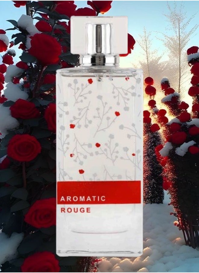 12 Pieces Aromatic Rouge Perfume 100ML - pzsku/Z1E0FB32131AADEEDA59DZ/45/_/1713122588/39e8712b-9955-4f25-91bb-fa26a5a06424