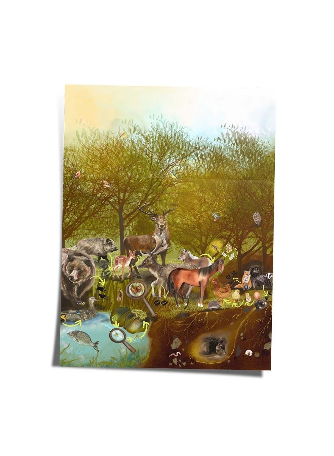 Lerni Toys Magnetic construction set COLORMAG Clear with magnetic animal cards and a poster - Image 5