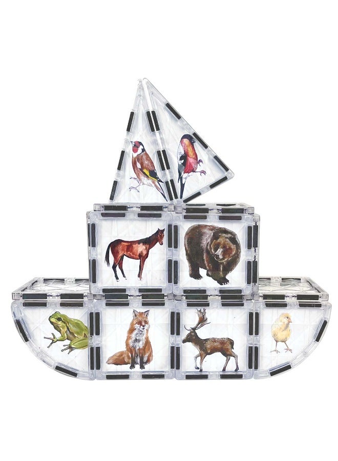 Lerni Toys Magnetic construction set COLORMAG Clear with magnetic animal cards and a poster - Image 3