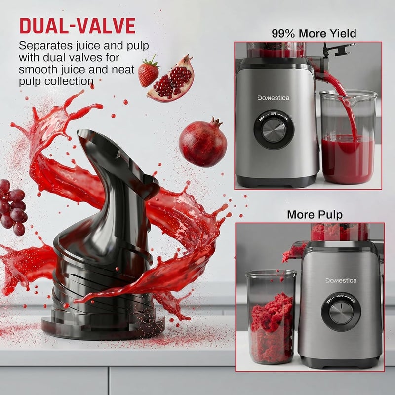 DOMESTICA Dripdrop Masticating Slow Juicer Machine for Whole Fruits Juice Extractor, Cold Press Juicer For Home With 108mm Wide Feed Chute, Large Auger & Triple Strainers (Black) - Image 3