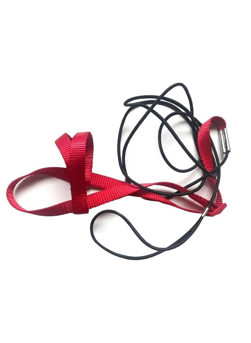 Petsary Pet Bird Harness and Leash with Buckle - Safe Parrot Leash - Pet Harness - Outdoor Adjustable Anti Bite Training Rope for birds -  Elasticated leash - Image 2