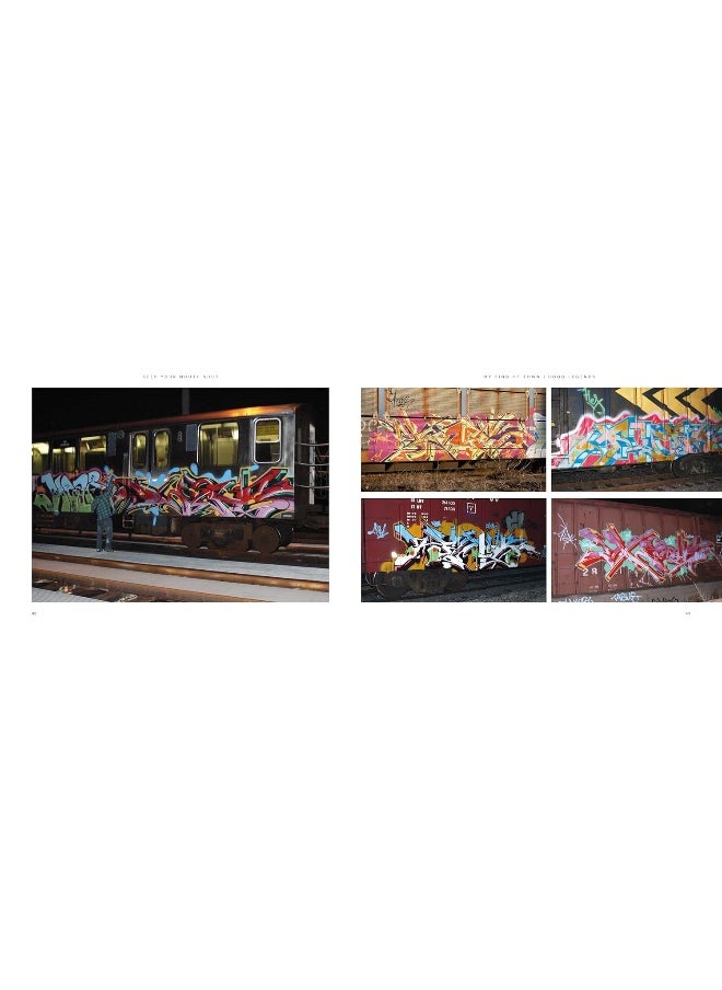 Keep Your Mouth Shut: Graffiti Art & Street Culture in Chicago and Beyon  - Image 4