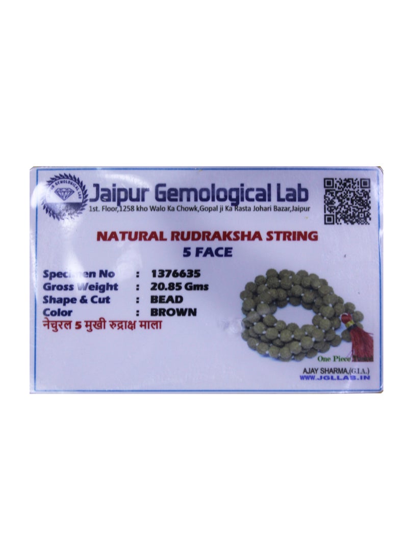 Natural Five Face Rudraksha  Mala With Original Lab Tested Certificate | For Good Luck And Meditation  - Image 2