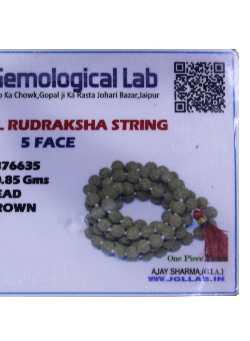 Natural Five Face Rudraksha  Mala With Original Lab Tested Certificate | For Good Luck And Meditation  - Image 4
