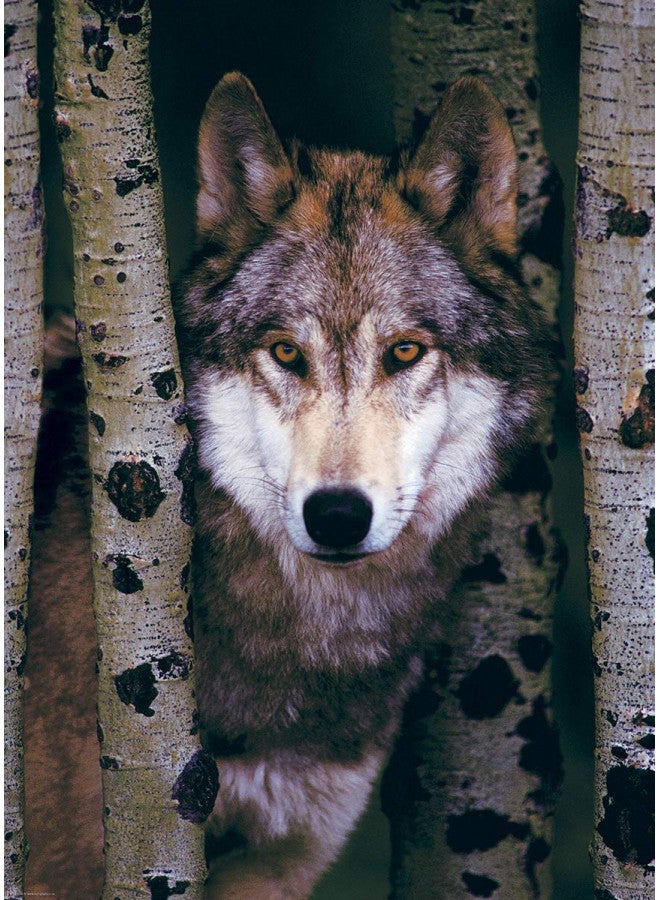 Eurographics Gray Wolf 1000-Piece Puzzle - Image 2