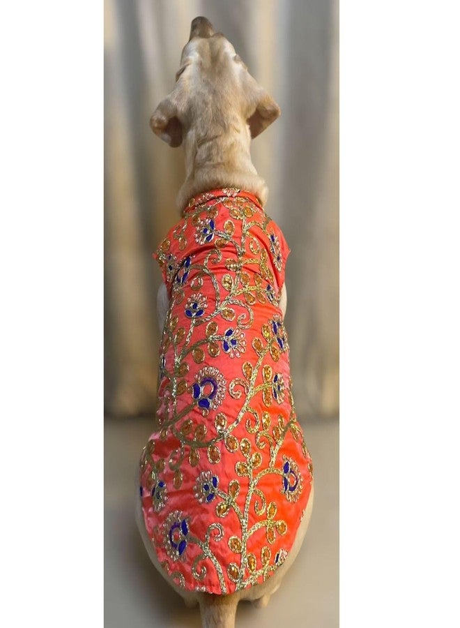 Lulala Traditional Dog Dress - Orange Embroidered Ethnic Outfit for Small, Medium & Large Dogs | Comfortable Festive Pet Costume for Weddings & Parties - Image 1