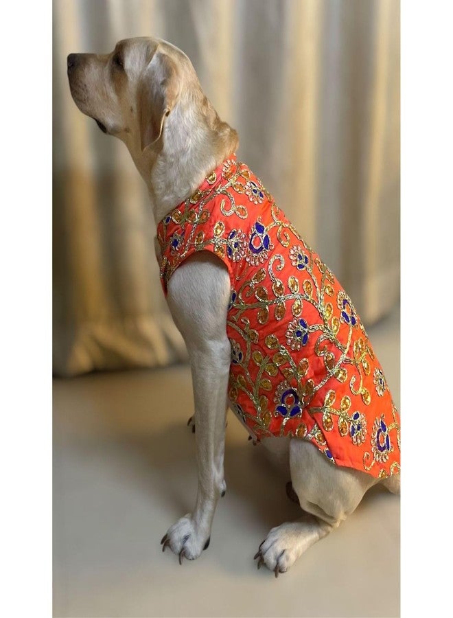 Lulala Traditional Dog Dress - Orange Embroidered Ethnic Outfit for Small, Medium & Large Dogs | Comfortable Festive Pet Costume for Weddings & Parties - Image 5