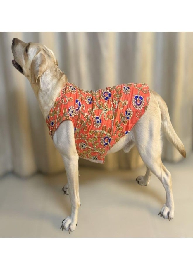 Lulala Traditional Dog Dress - Orange Embroidered Ethnic Outfit for Small, Medium & Large Dogs | Comfortable Festive Pet Costume for Weddings & Parties - Image 2