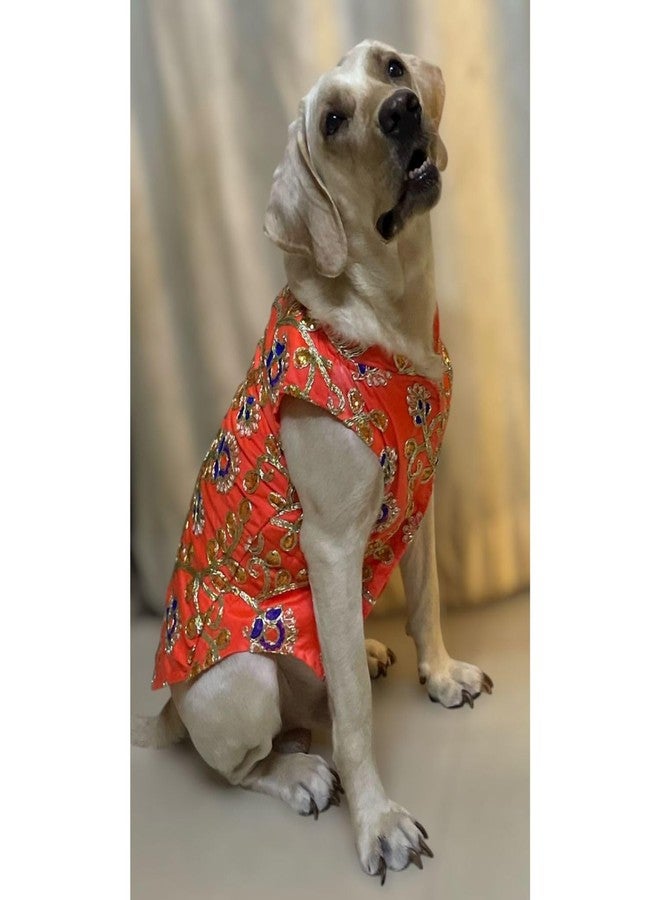 Lulala Traditional Dog Dress - Orange Embroidered Ethnic Outfit for Small, Medium & Large Dogs | Comfortable Festive Pet Costume for Weddings & Parties - Image 4