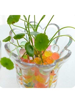 Promote Promote Trader 9 Ounces Water Beads in Bottle Vase Filler for Home Decoration Water Absorbing Beads  - Image 5