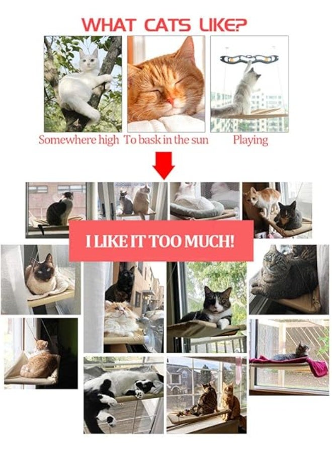 مريمايا طقم مكون من سرير ورف ومقعد نافذة وأرجوحة للقطط من مريمايا، موفر للمساحة وقابل للطي ويُثبت على النافذة بقواعد تثبيت بالشفط - مخصص لقطط تصل وزنها إلى 13 كغم لكي تستمتع بحمام شمسي 360° من كل الجوانب - Image 5