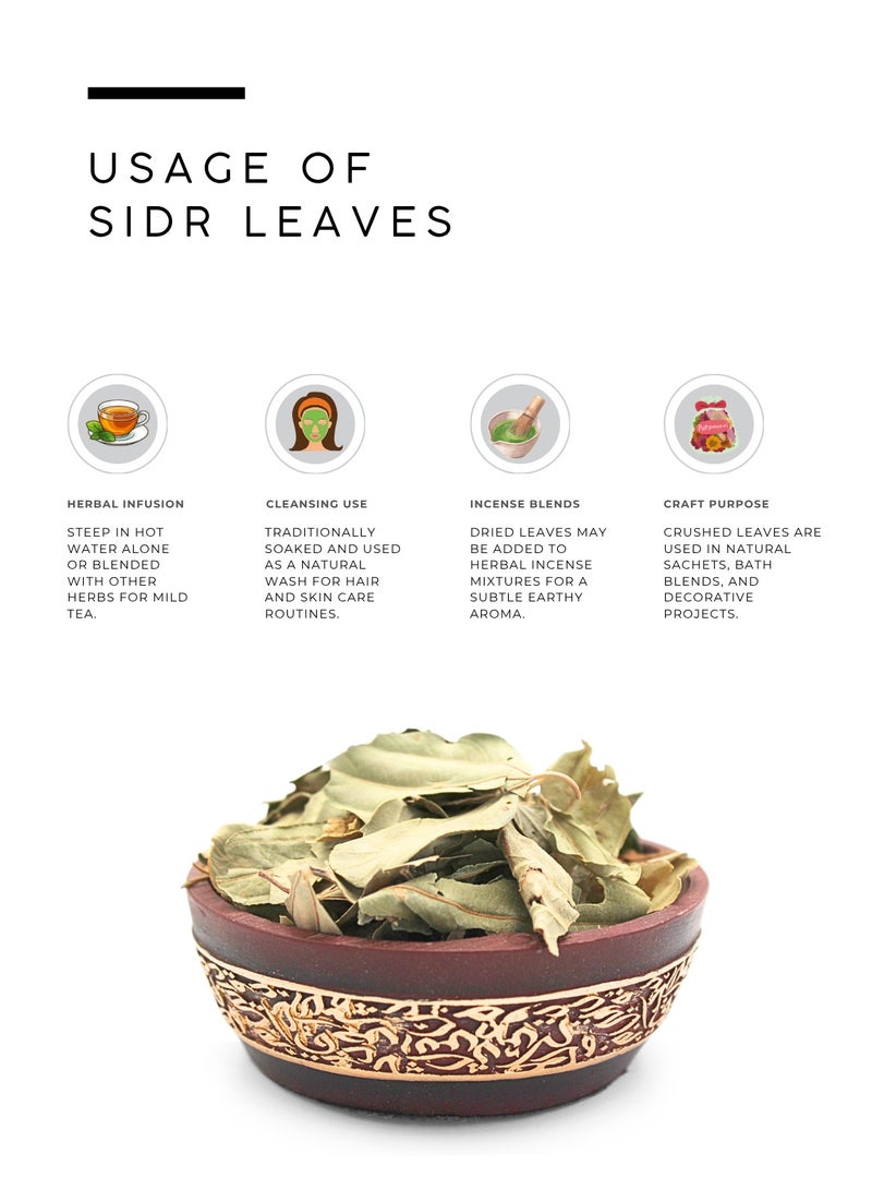 AWAFI MILL Sidr Leaves (Ziziphus spina-christi) | Dried Leaves for Herbal Tea, Infusions | Clean Green, Mildly Sweet Aroma - 100 g | 3.5 Oz - Image 3