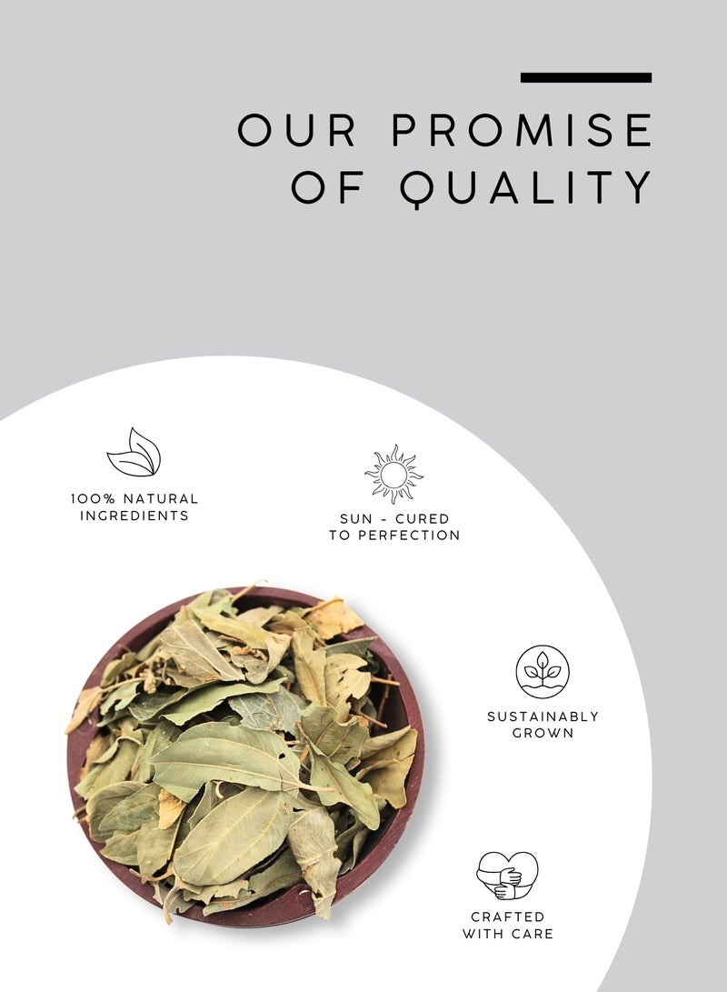 AWAFI MILL Sidr Leaves (Ziziphus spina-christi) | Dried Leaves for Herbal Tea, Infusions | Clean Green, Mildly Sweet Aroma - 100 g | 3.5 Oz - Image 4