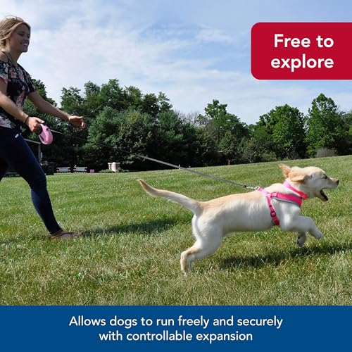 Coastal Pet Power Walker Dog Retractable Leash - Reflective Dog Leash - Stop-and-Release Control Button - Comfort Grip Handle - Red - Medium - Image 3