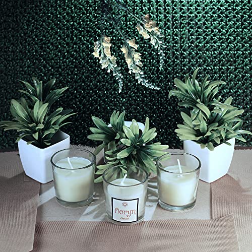 Floryn Decor Votive Glass Candles for Home Decor, Candles for Decoration Burning Time- 10 Hours | Unscented (Pack of 12) - Image 3