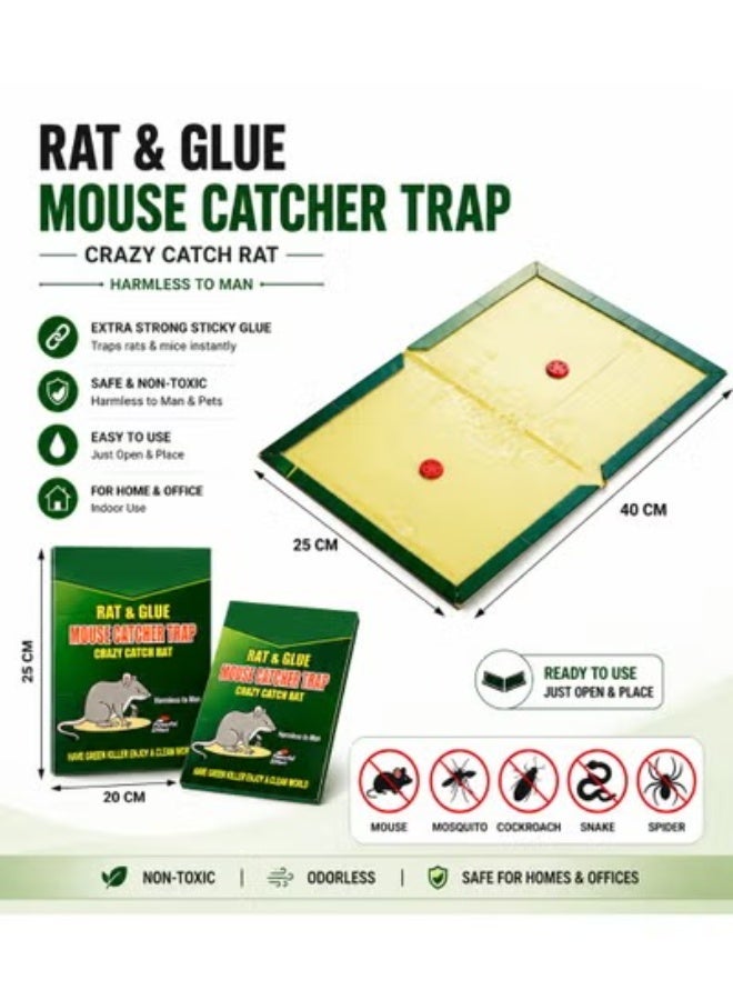 GREEN KILLER 5-Piece Mouse & Rat Glue Traps - Super Sticky Adhesive Boards for Indoor/Outdoor Pest Control - Professional Strength Traps for Rats, Mice, Cockroaches, Spiders & Insects (Non-Toxic) - Image 2