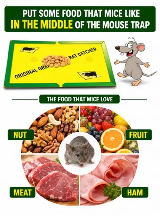 GREEN KILLER 5-Piece Mouse & Rat Glue Traps - Super Sticky Adhesive Boards for Indoor/Outdoor Pest Control - Professional Strength Traps for Rats, Mice, Cockroaches, Spiders & Insects (Non-Toxic) - Image 4