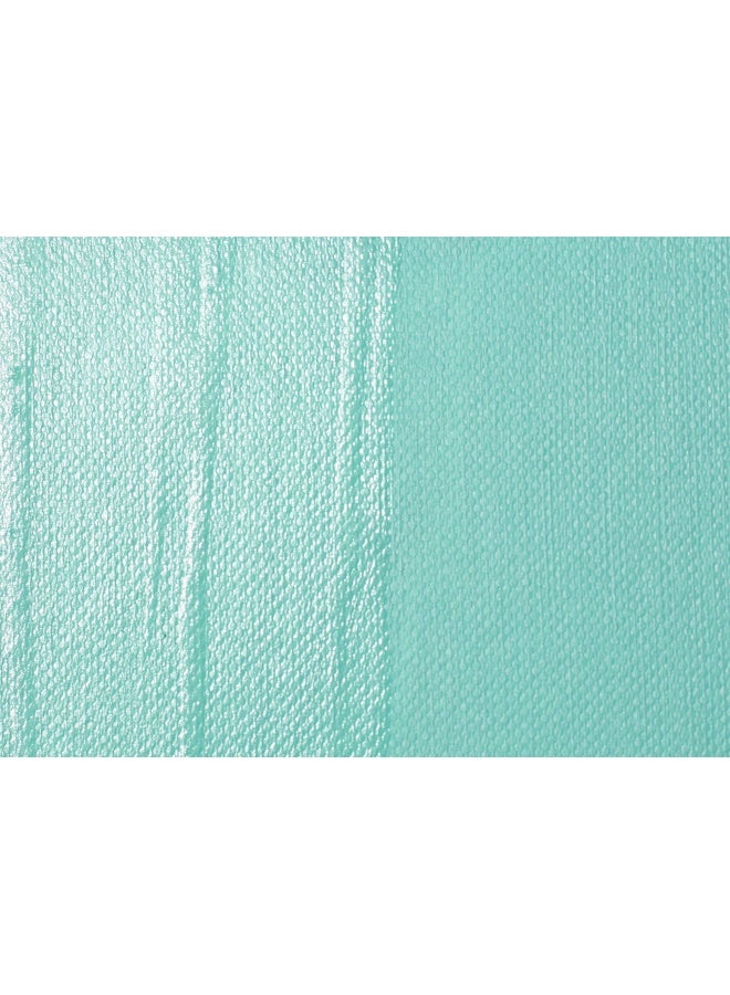 Liquitex Professional Satin Varnish, 237ml (8-oz) - Image 3