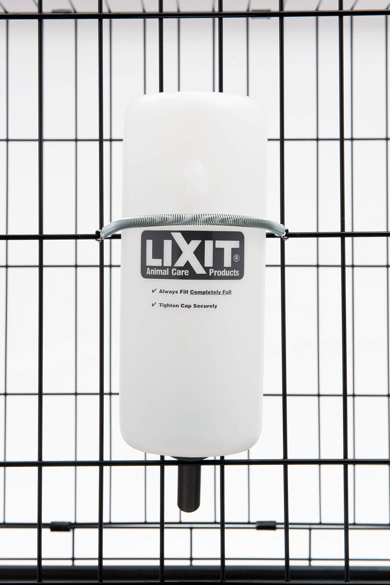 Lixit Wide Mouth Water Bottles for Large and Small Dogs (32oz Large Dog, White) - Image 3