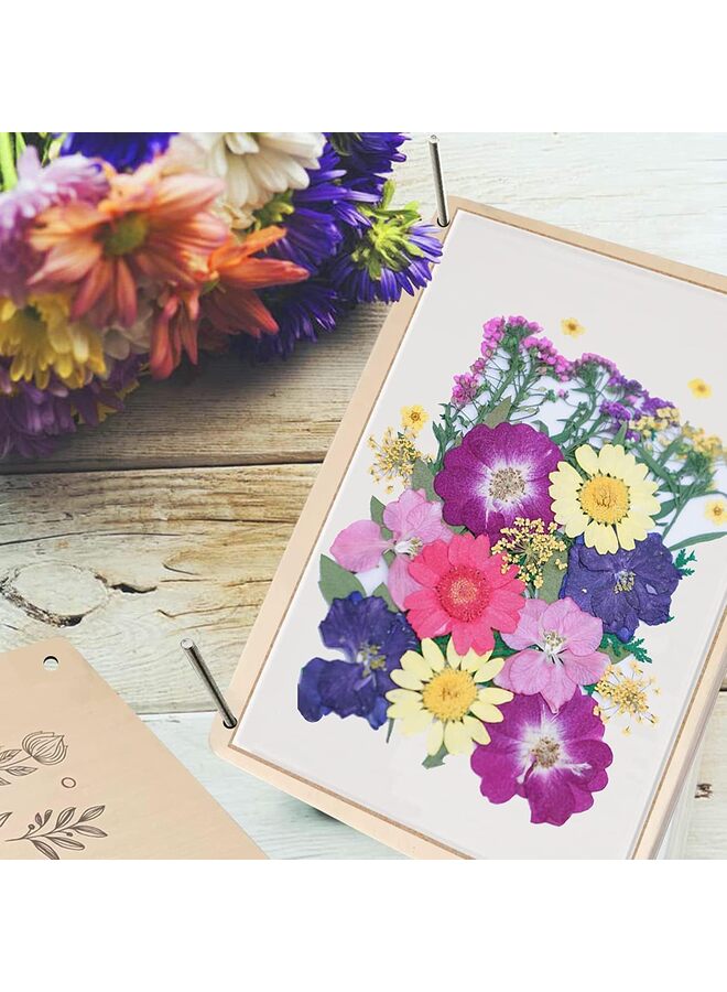 Large Flower Press Kit for Adults The Flower Preservation Kit Measures 8.3" x 6.3" • Our Plant Press & Leaf Press is a Great Gift for Arts and Crafts Lovers - Image 5