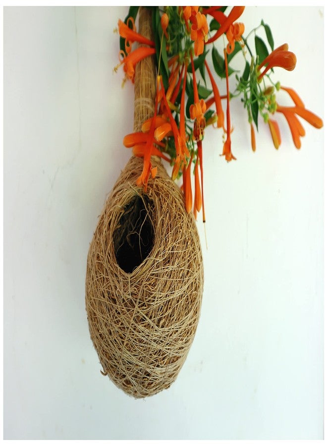 USIRA Safest Round Organic Bird nest Purely Handmade Sparrow/Small Birds, Material Type -Vetiver Root,Color -Brown - Image 4