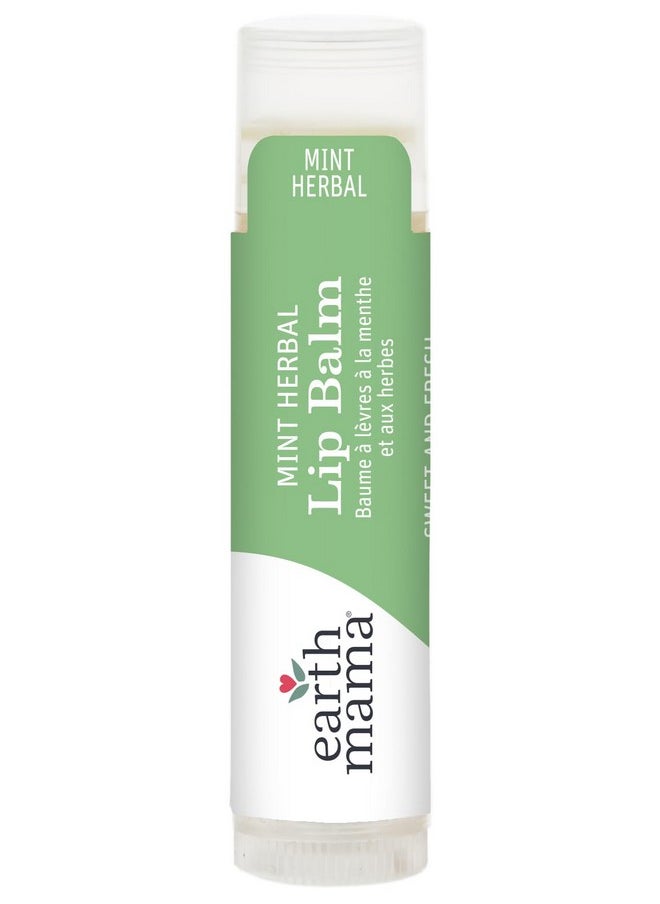 Earth Mama - Earth Mama Lip Balm Quadruplets 4-Pack | No Petroleum, Artificial Colors or Flavors - Image 1