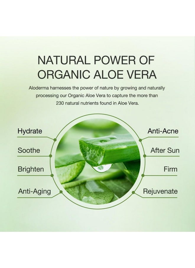 Aloderma - Soothing Face Moisturizer With 77% Organic Aloe Vera Natural Moisturizer For Face For Sensitive & Combination Skin Nurturing Aloe Face Moisturizer With Squalane Botanical Extracts 3.5Oz - Image 1