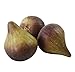 Skyseen 8PCS Realistic Artificial Fruits Lifelike Decorative Fig Photography Props Home Decoration - Image 2