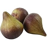 Skyseen 8PCS Realistic Artificial Fruits Lifelike Decorative Fig Photography Props Home Decoration - Image 1