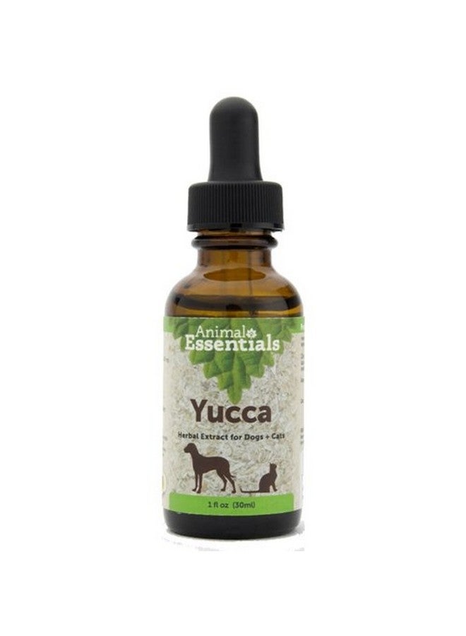Animal Essentials Yucca for Dogs and Cats - Joint & Digestive Support, Yucca Root Supplement, Liquid Drops, Herbal Extract - 1 Fl Oz